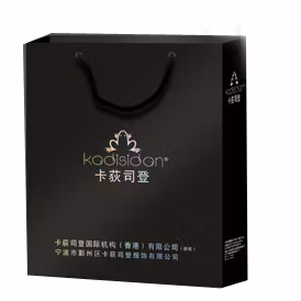 Borsa regalo di lusso Borsa per la spesa/sacchetto di carta per imballaggio in carta personalizzata per abbigliamento